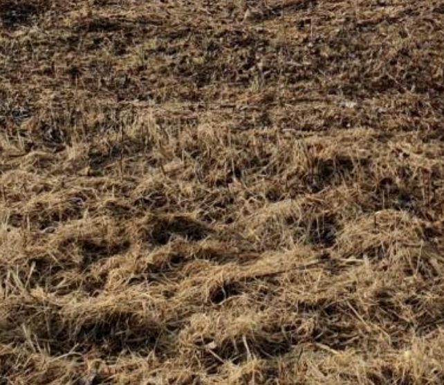 Działka budowlana Wólka Kosowska