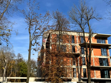 Mieszkanie Sosnowiec sprzedaż