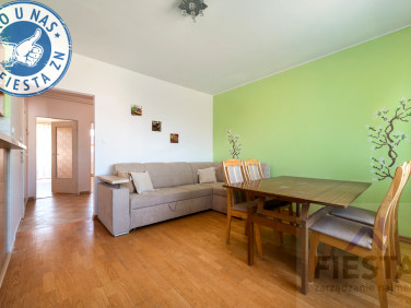 Mieszkanie Pruszcz Gdański wynajem