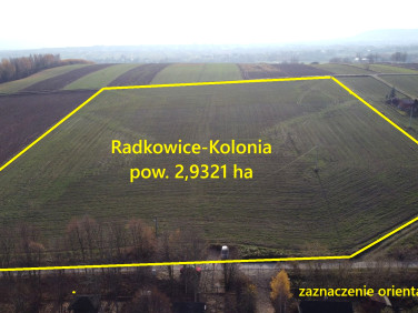 Działka rolna Radkowice-Kolonia