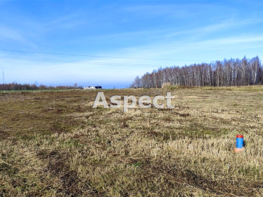 Działka budowlana Wola Rafałowska