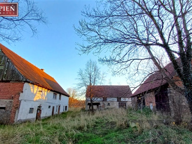 Dom Świecie sprzedaż