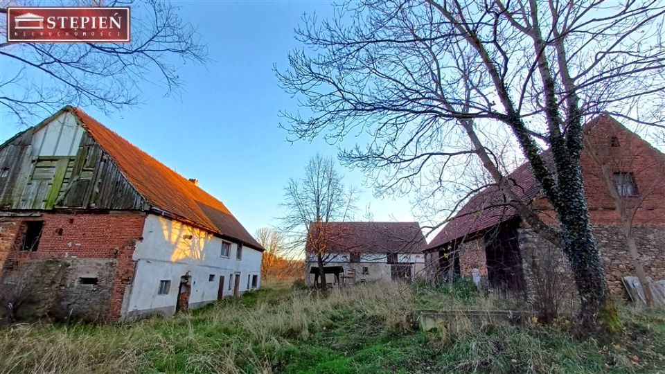 Dom Świecie sprzedaż