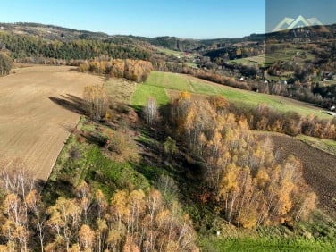Działka budowlana Olszowa