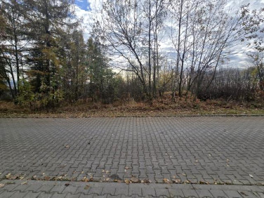 Działka Brzękowice-Wał