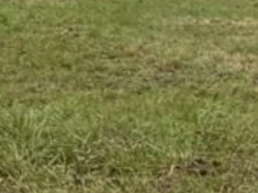 Działka budowlana Wola Mrokowska