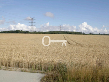 Działka usługowa Gościcino