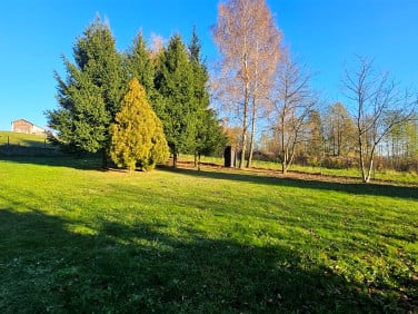 Działka rekreacyjna Kobylany