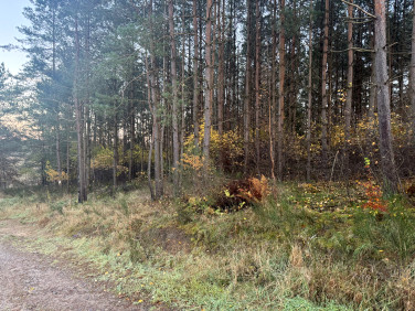 Działka budowlana Dębnica Kaszubska