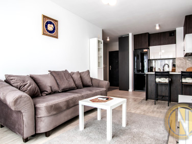 Mieszkanie blok mieszkalny wynajem