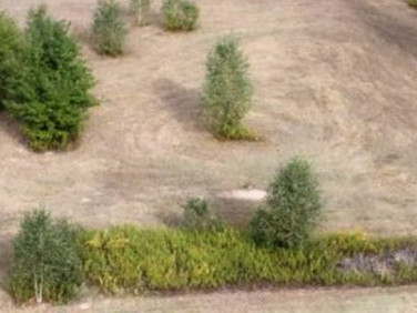 Działka budowlana Szymanówek