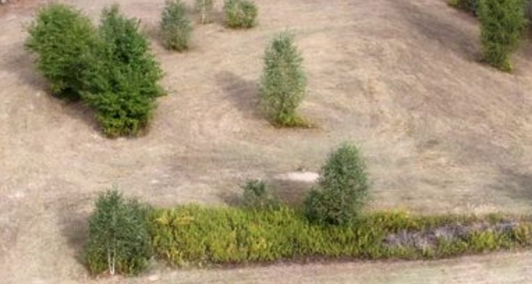 Działka budowlana Szymanówek