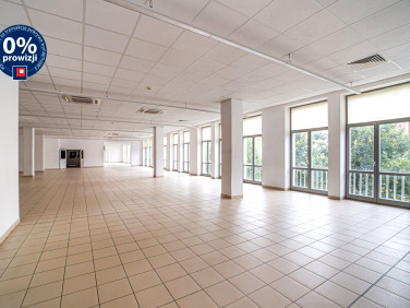 Lokal Legnica wynajem