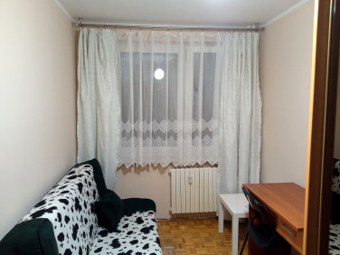 Pokój Zielona Góra