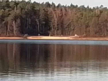 Ogrodzona działka Augustów