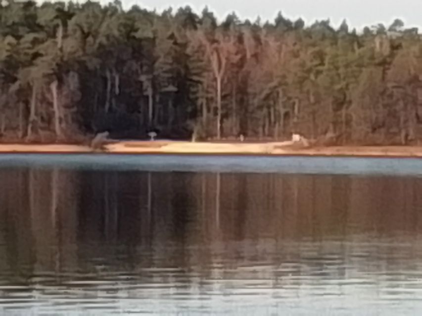 Ogrodzona działka Augustów