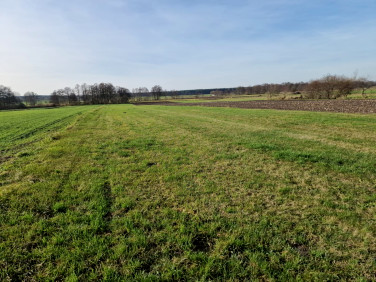 Działka rolna Biskupice