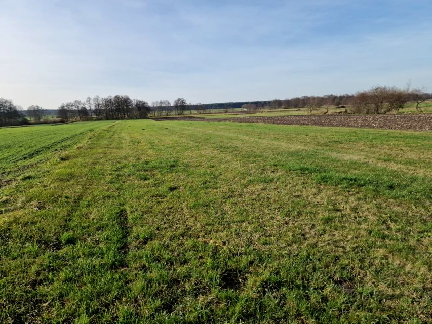 Działka rolna Biskupice