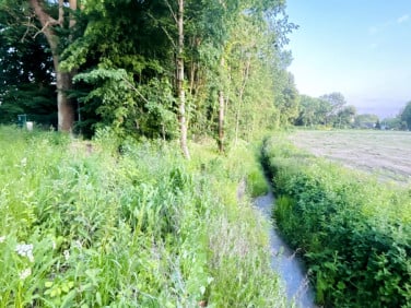 Działka inna Gołębiewo Wielkie sprzedam
