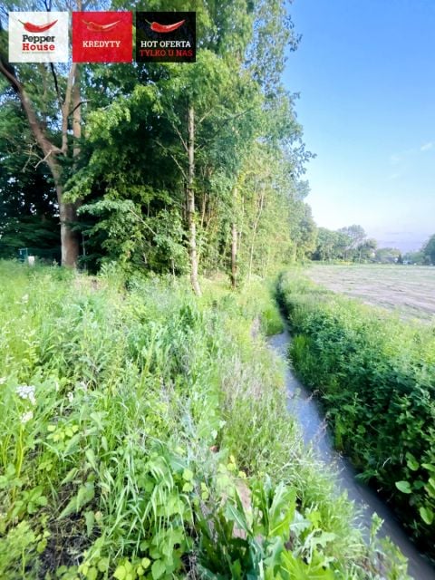 Działka inna Gołębiewo Wielkie sprzedam