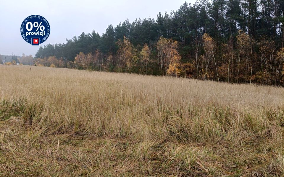 Działka budowlana Borki