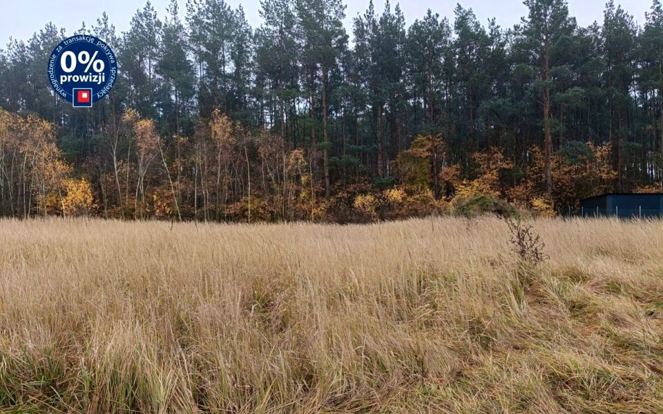 Działka budowlana Borki