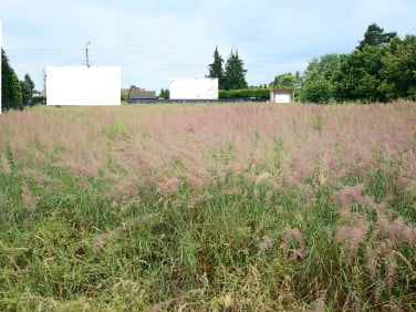 Działka budowlana Suszec