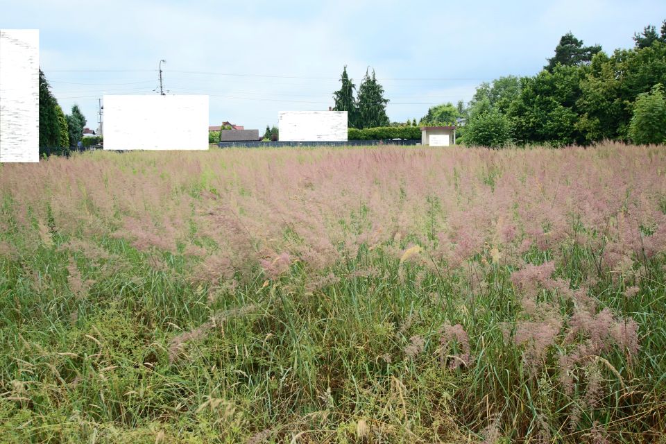Działka budowlana Suszec