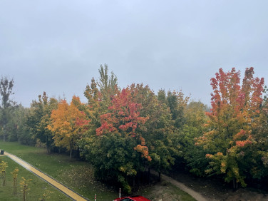 Działka budowlana Białystok