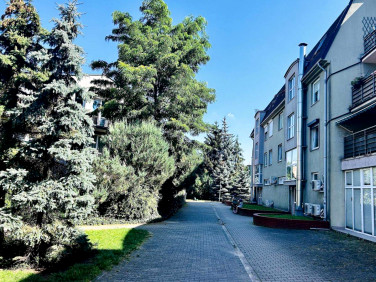 Mieszkanie Poznań sprzedaż