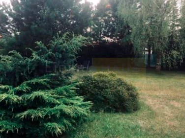 Działka budowlana Dąbrowa