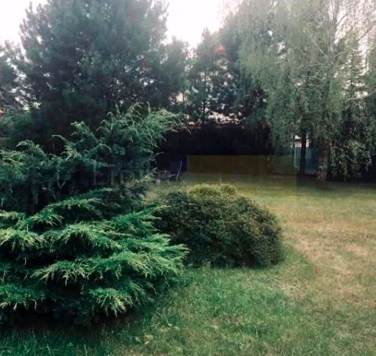 Działka budowlana Dąbrowa