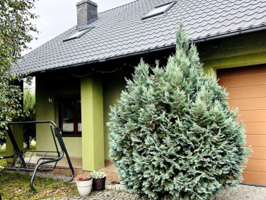 Dom wolnostojący sprzedaż