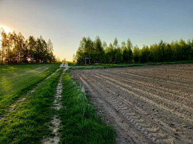 Działka rolna Niecki sprzedam