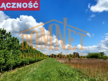 Działka rolna Dębówka