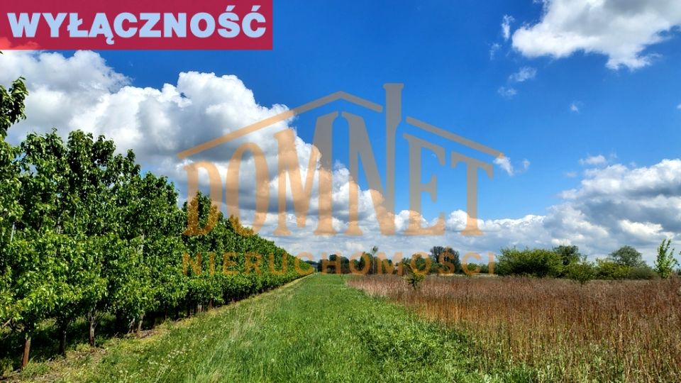 Działka rolna Dębówka