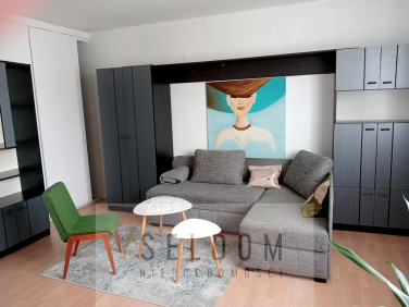 Mieszkanie dom wolnostojący Jelenia Góra