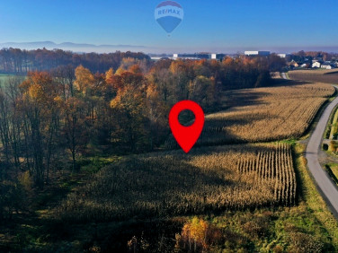 Działka rolna Osiek