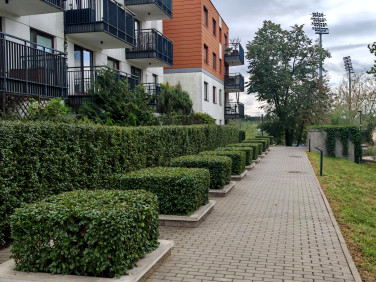 Mieszkanie Łomianki Dolne