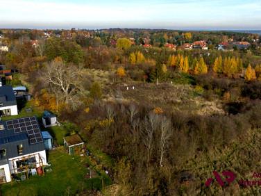 Działka przy lesie