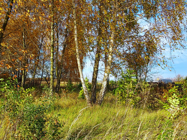 Ogrodzona działka Sady