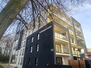 Mieszkanie Kielce wynajem