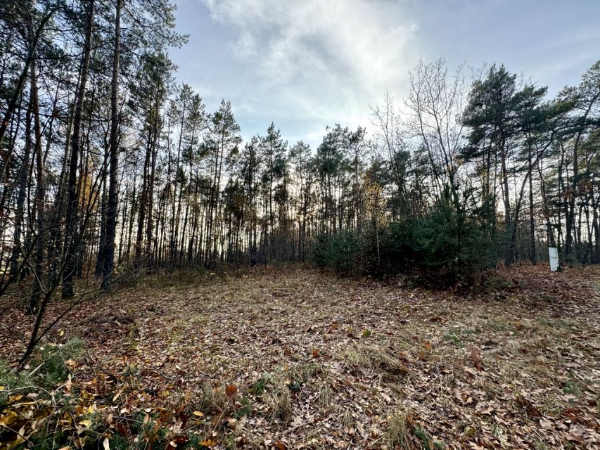 Działka budowlana Romanów