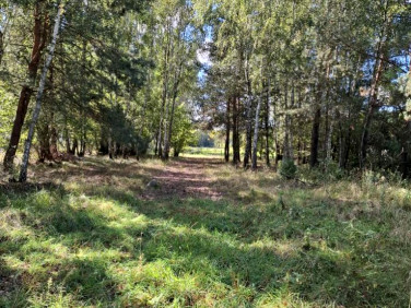 Działka rolna Sokóle