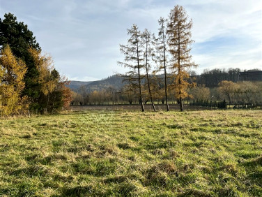 Działka budowlana Jaworze Dolne