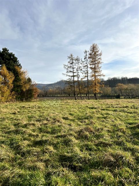 Działka budowlana Jaworze Dolne