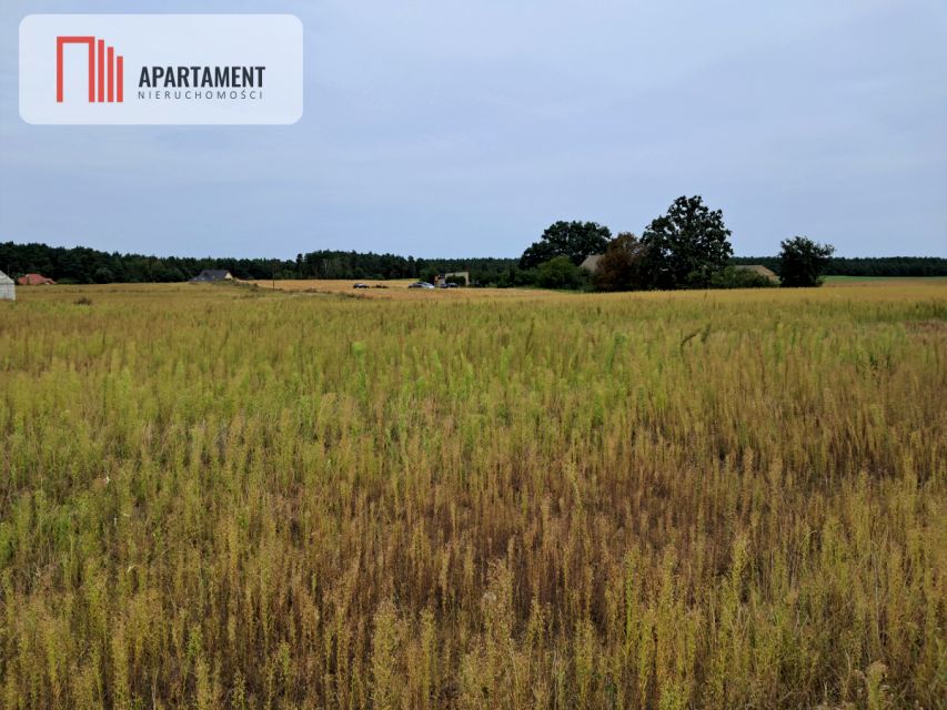 Działka rolna Gąbin sprzedam