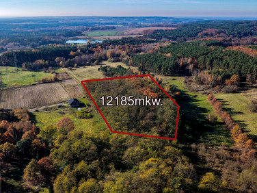 Działka leśna Świdnica