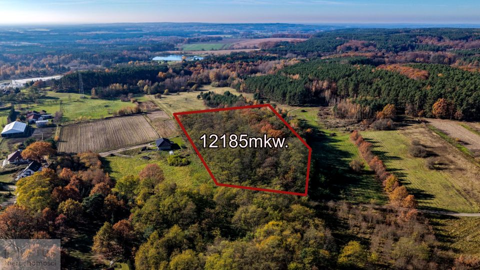 Działka leśna Świdnica