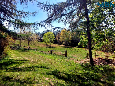 Działka Świętajno